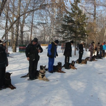 Омский областной центр спортивно-служебного собаководства фото 2