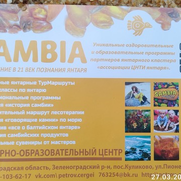 Кластер цнти янтаря фото 1