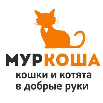 Частный приют для кошек Муркоша фото 1