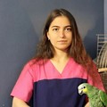 Фотография специалиста Сидоренко Ангелина Андреевна