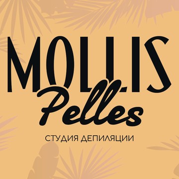 Студия шугаринга и восковой депиляции MOLLIS PELLES фото 1