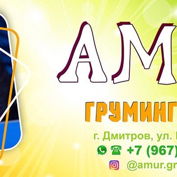 Котопёс, груминг-салон фото 1