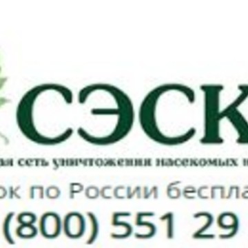 СЭСКА в Грязях фото 1