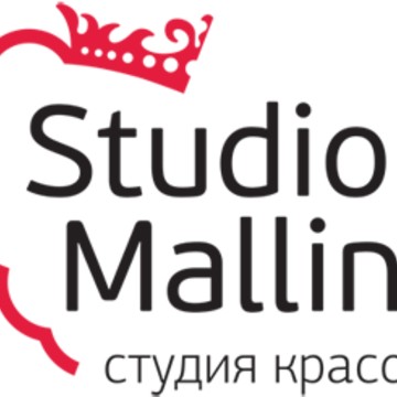 Салон красоты «Studio Mallina» у ст.м. Владимирская фото 1