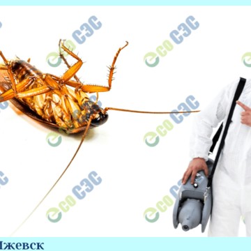 Эко СЭС в Сысерти фото 1