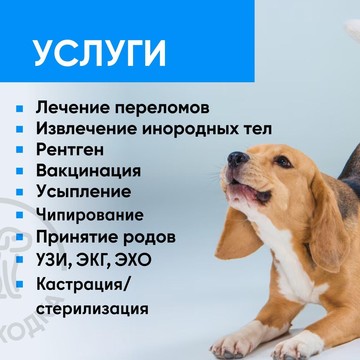 Ветеринарная клиника Ветнаходка в Красногорске фото 3