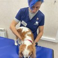 Фотография специалиста Сломинская Надежда Петровна