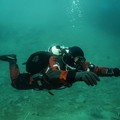 Фотография специалиста Шапошников Алексей Леонидович