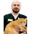 Фотография специалиста Антонов Александр Юрьевич