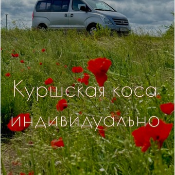 39трипс фото 3