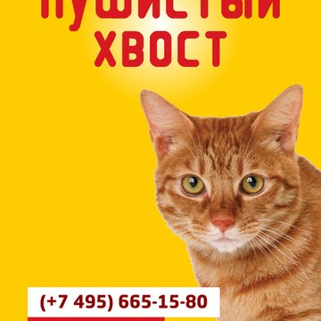 Пушистый хвост на Ярославском шоссе фото 1