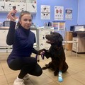Фотография специалиста Мелина Екатерина Владимировна