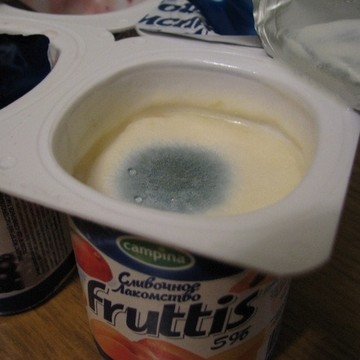 плесень в подарок!