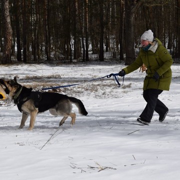 Клуб собаководства Осирис фото 1