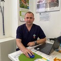 Фотография специалиста Шепелев Виктор Владимирович