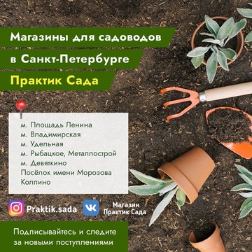 Магазин семян Практик сада на Привокзальной площади фото 2
