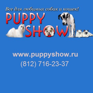 Puppy show фото 3