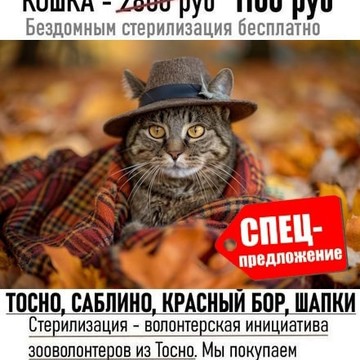 ЛЬГОТНАЯ СТЕРИЛИЗАЦИЯ фото 1