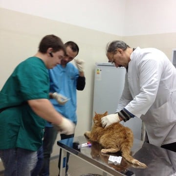 Ветеринарная клиника Айболит на Кутузовской улице фото 2