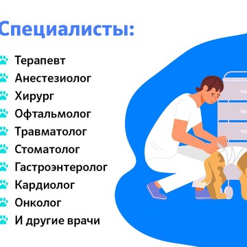 Ветаклиник в Дмитрове фото 3