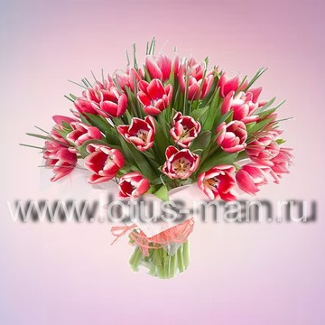 Цветы 24 (lotus-man) фото 3