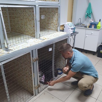 Ветеринарная клиника Доктор Пух на Звенигородском шоссе фото 3