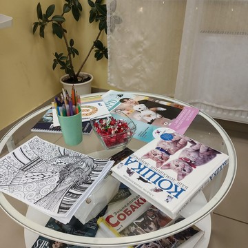 Груминг-салон Oxanagroom на Хрустальногорской улице фото 3