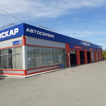 Роскар в Челябинске фото 3