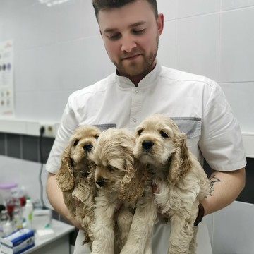 Ветеринарный центр доктора Базылевского А.А. на улице 25 Сентября фото 3