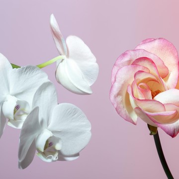 Магазин цветов FloraLi фото 2