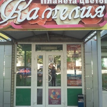 Магазин цветов Камелия в Октябрьском районе фото 1
