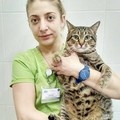 Фотография специалиста Девянина Татьяна Александровна