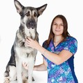 Фотография специалиста Лелекова Надежда Викторовна