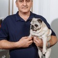 Фотография специалиста Петряев Владимир Алексеевич