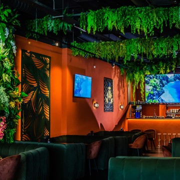 Кальянная Пальма Lounge фото 1