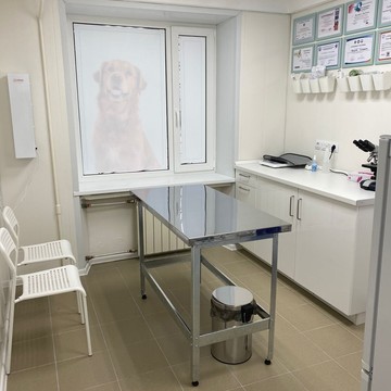 Ветеринарная клиника Барс на проспекте Просвещения фото 1
