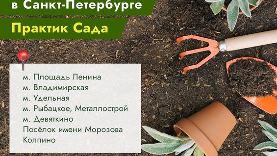 Магазин Семена В Девяткино Каталог Саженцев