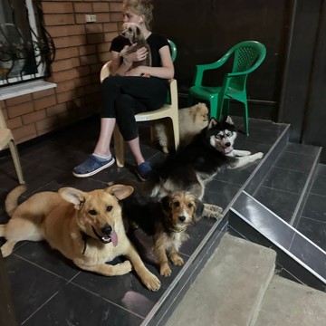 Ветеринарная станция «Любимец» на Касимовской улице фото 3