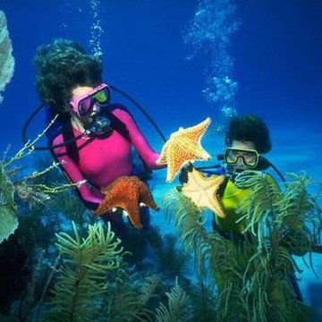 Туристическое агентство Coral Travel Elite Service на Щёлковской фото 2