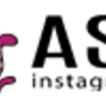 Assin.co - сервис для продвижения инстаграм фото 1