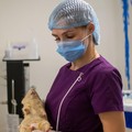 Фотография специалиста Нестерова Анастасия Дмитриевна