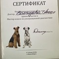 Фотография специалиста Забалуева Алеся Анатольевна