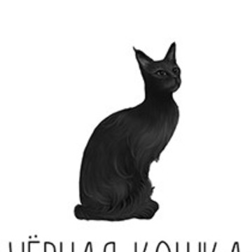 Черная кошка фото 2