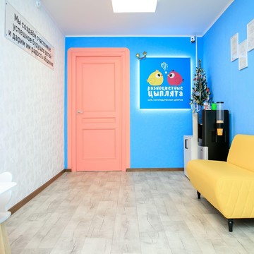 Логопедический центр Разноцветные Цыплята фото 3