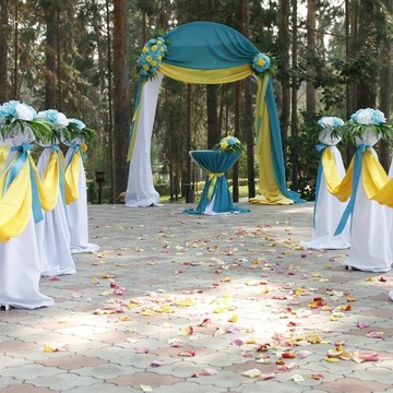 Выездная регистрация брака в Тольятти фото 1