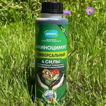 Цимус фото 2