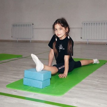 Студия гимнастики и акробатики для детей Circusstudio фото 2