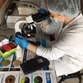 Фотография специалиста Кривоспицкая Елена Владимировна