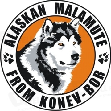 Питомник Аляскинских Маламутов FROM KONEV-BOR фото 1