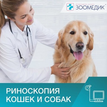 Ветеринарная клиника Зоомедик на Ленинском проспекте фото 2
